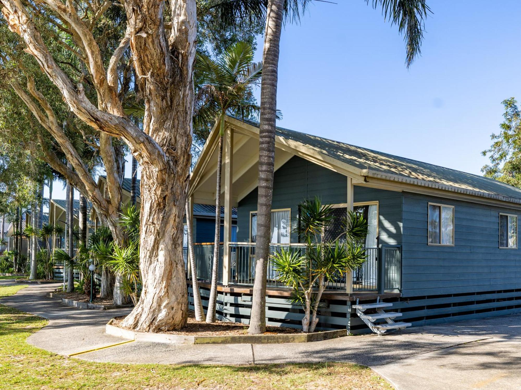 Nrma Blue Dolphin Yamba Holiday Resort Rum bild